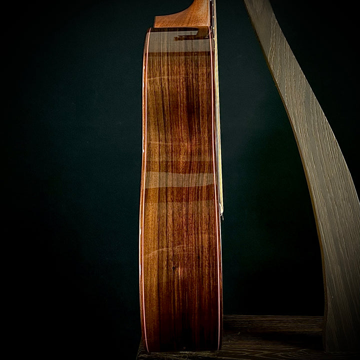 Taylor Legacy 914CE
