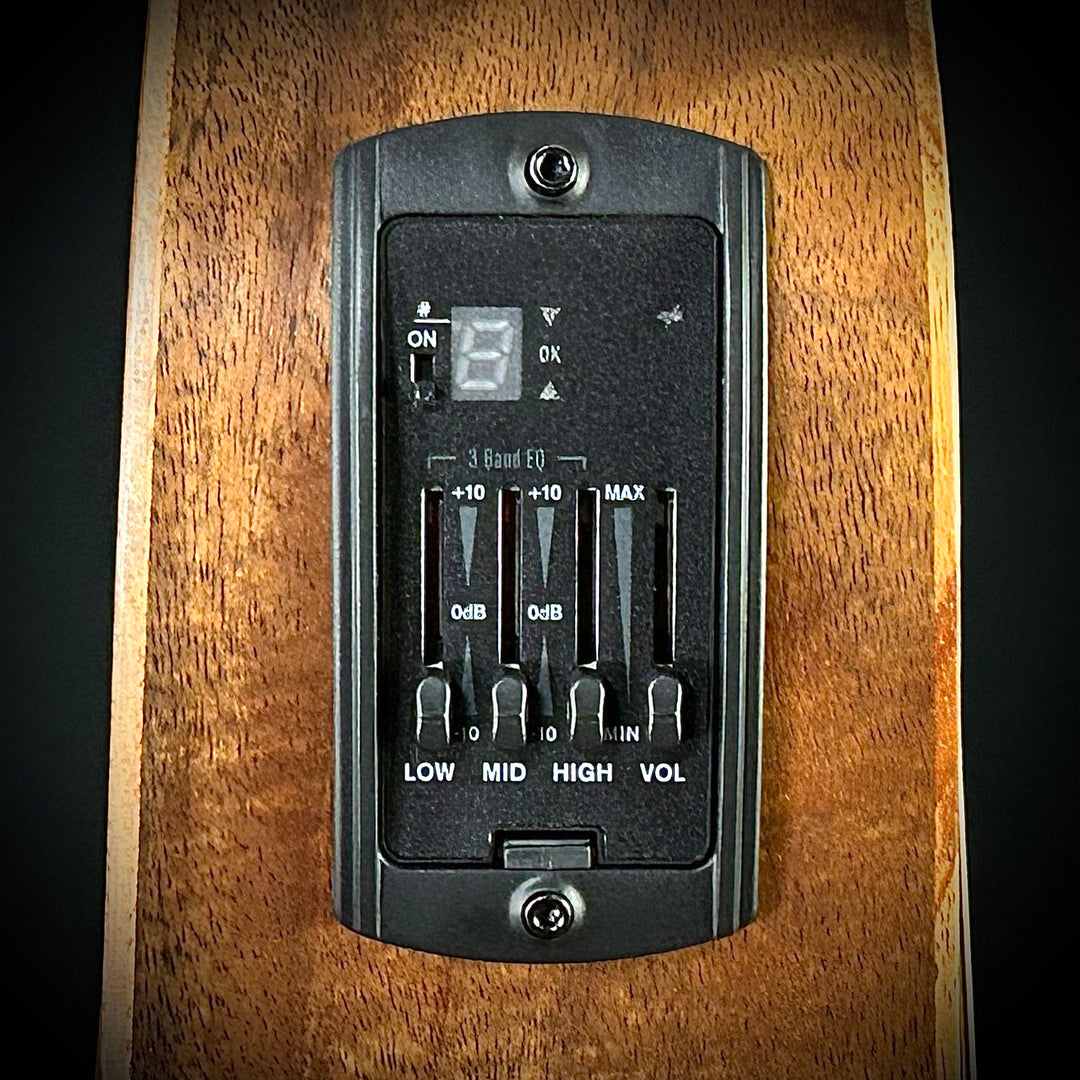 Taylor GS Mini-e-Koa