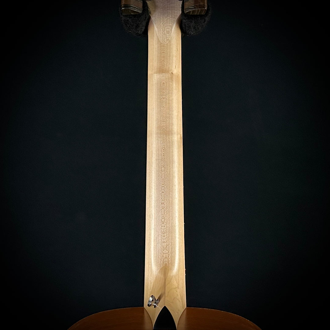 Taylor 2020 Academy 10 (USED)