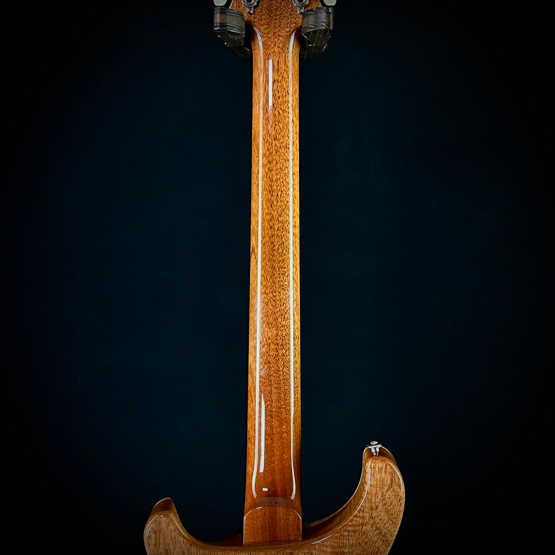 PRS Custom 24 Birds Of A Feather | Limited Edition