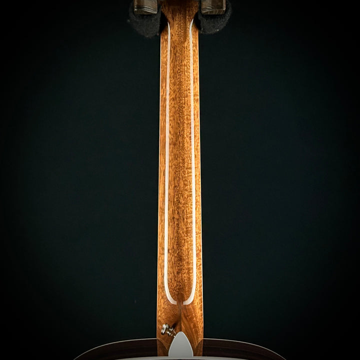 Taylor Legacy 810e