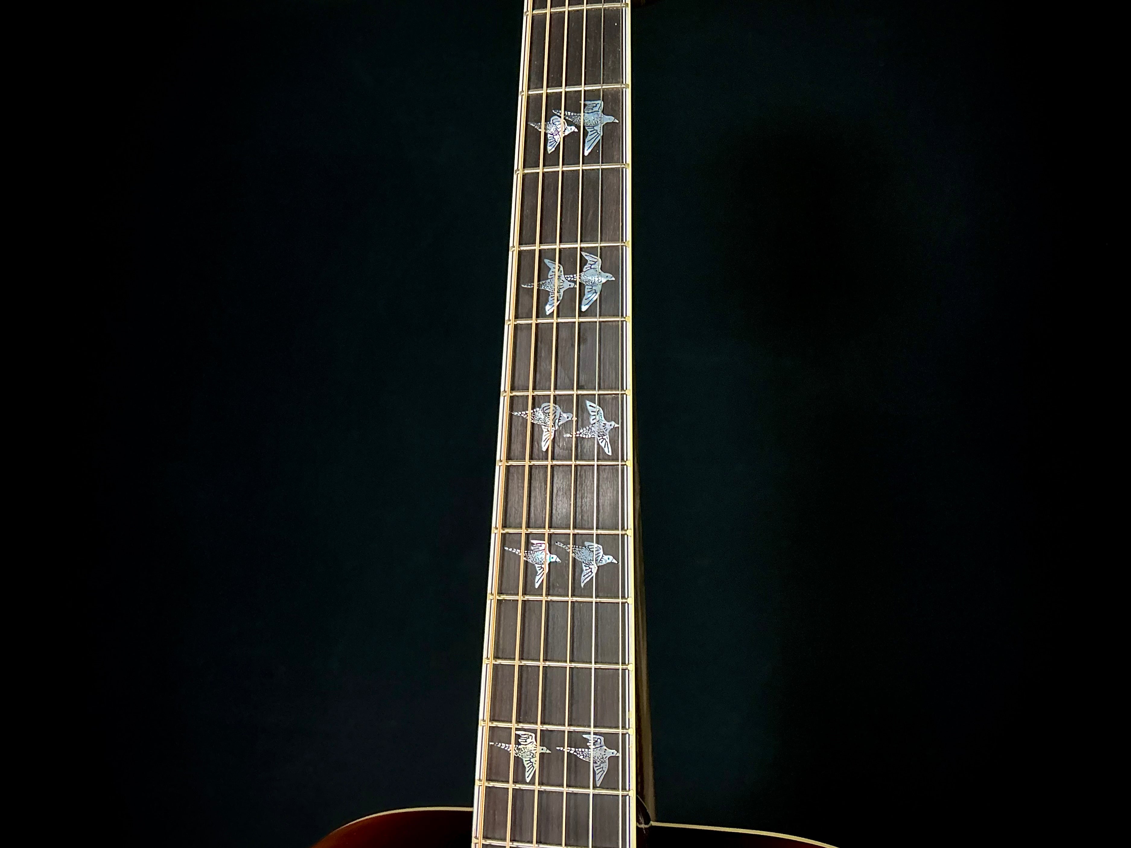  バード　 Dove Carter Vintage - Gibson Doves in Flight 2025, Natural