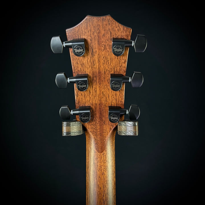 Taylor MV Custom Baritone-6 - Grand Auditorium