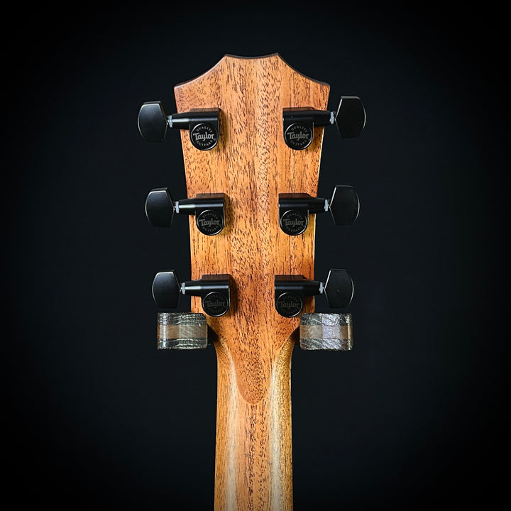 Taylor 214CE Deluxe - Special Edition Black Top