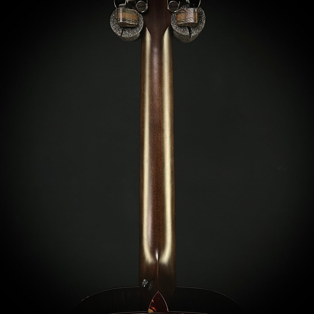 Taylor Custom Gold Label - Grand Concert