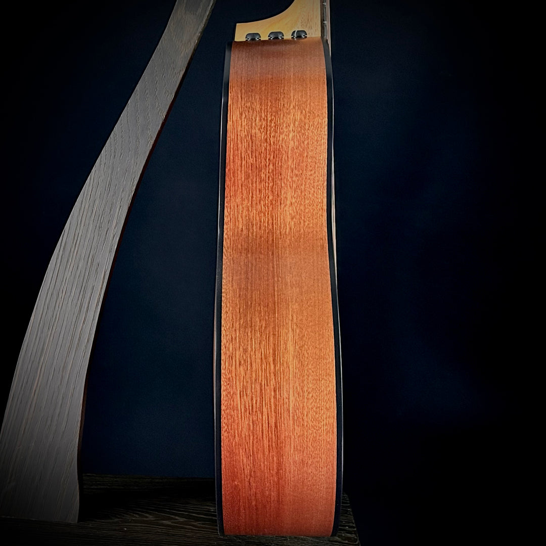 Taylor 114ce - Sapele