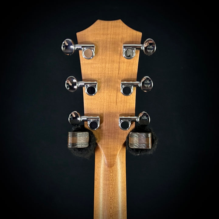 Taylor 24CE - Mahogany Top