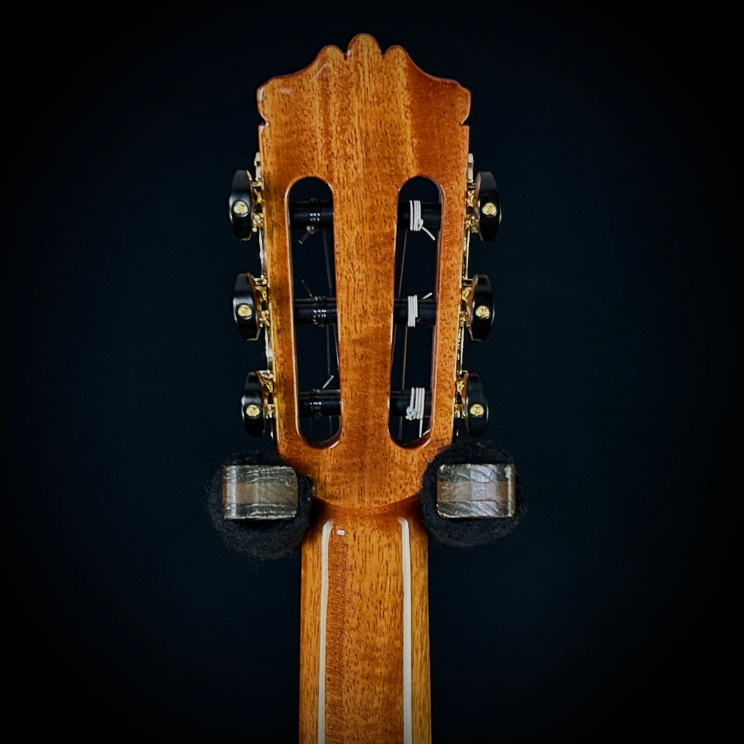 Cordoba C9 Parlor Cedar Top