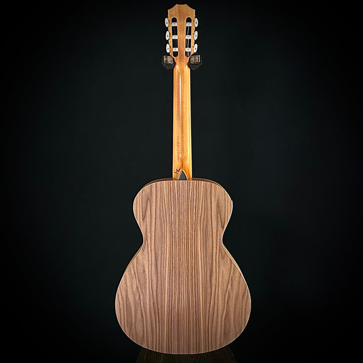 Taylor Academy 12E Nylon String
