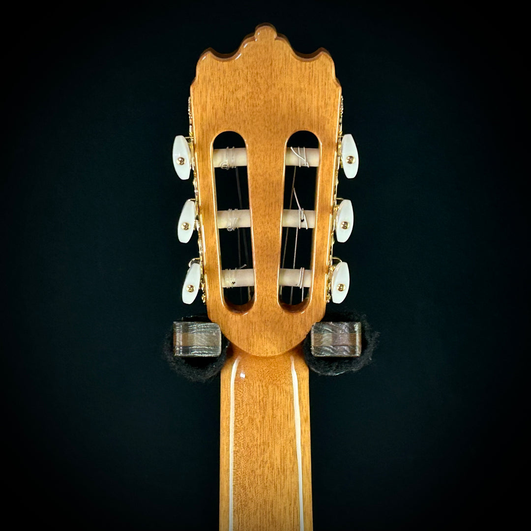 Alhambra 4F Flamenco - Sycamore