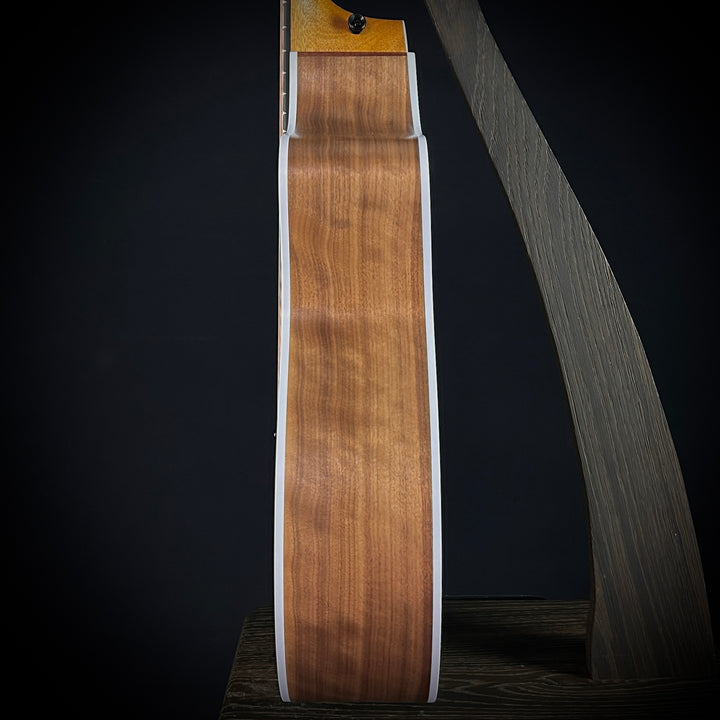 Taylor 214CE