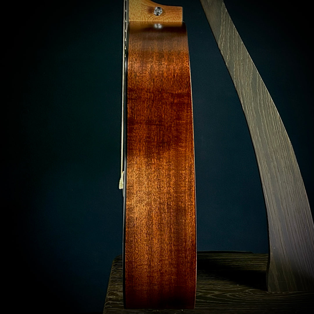 Martin D-10E Retro