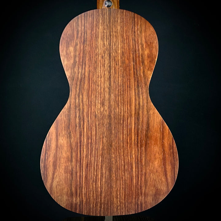 Ibanez PN2 Parlor