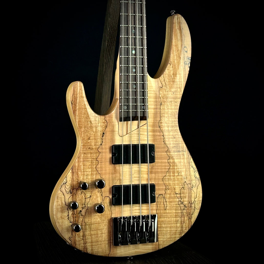 LTD B-204 Spalted Maple | Lefty