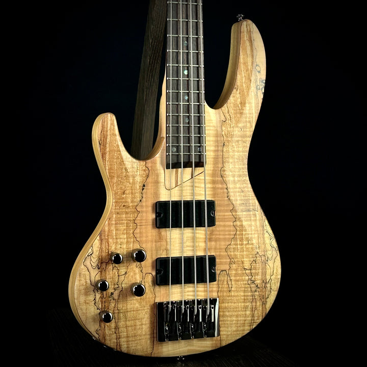 LTD B-204 Spalted Maple | Lefty