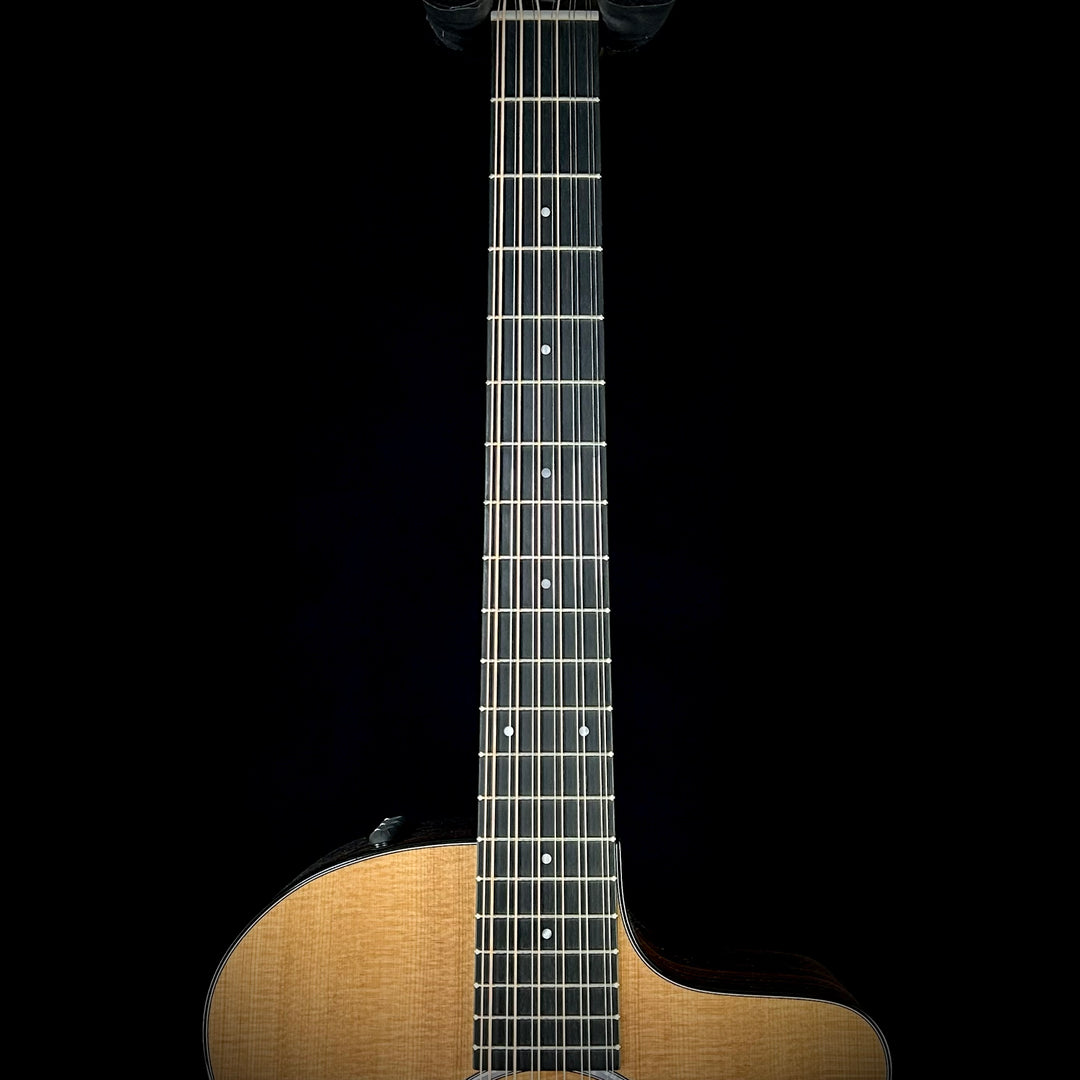 Taylor 254ce Plus - 12-String