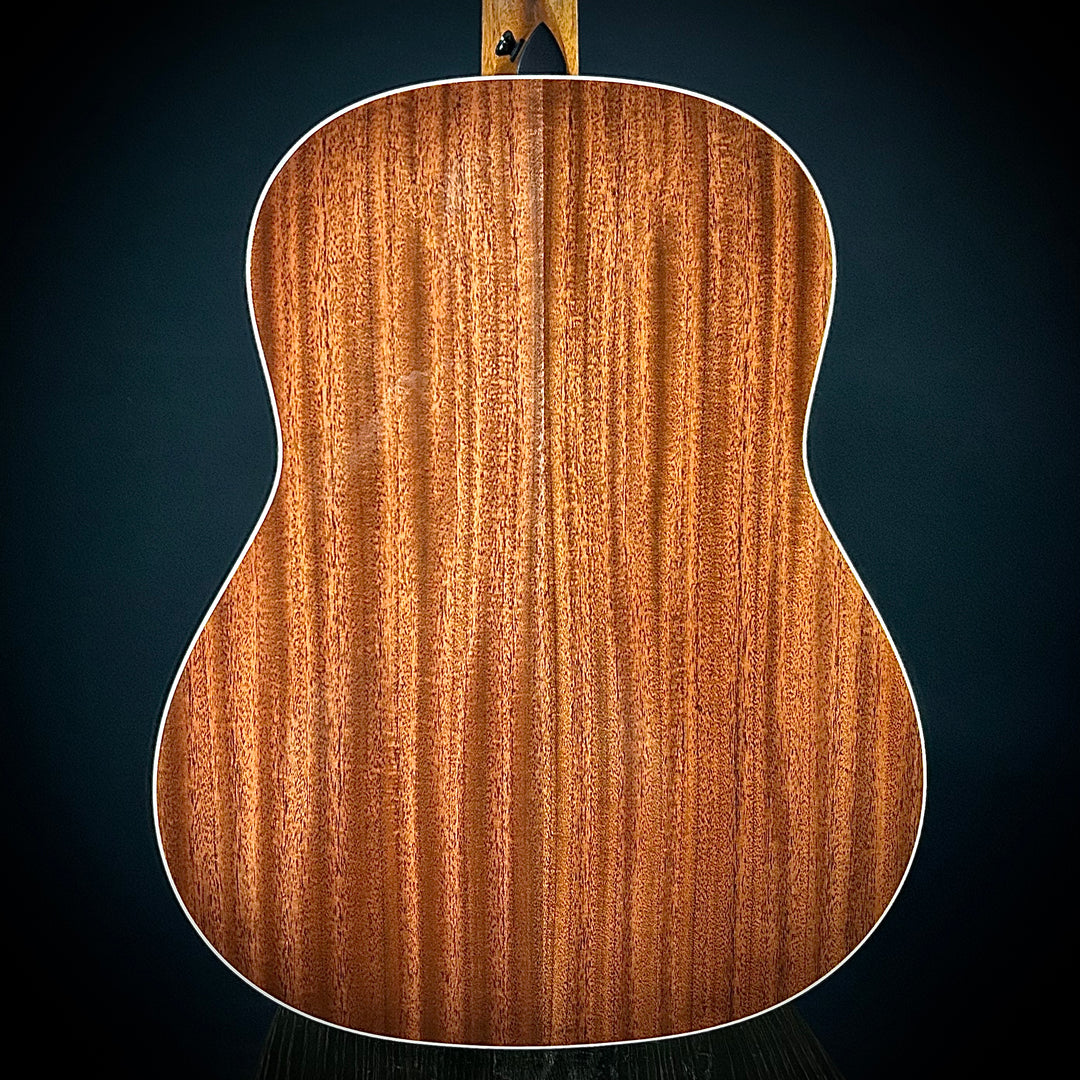 Taylor Gold Label 517E - Natural