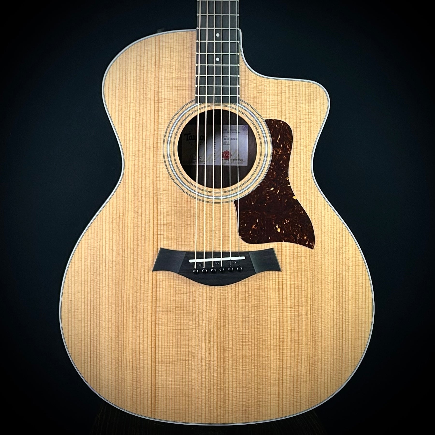 Taylor 214CE – Music Villa MT