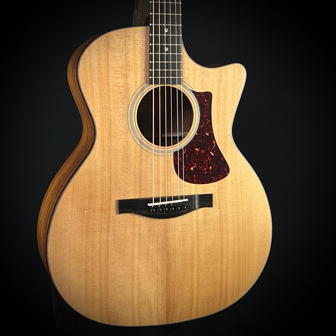 Eastman AC222CE