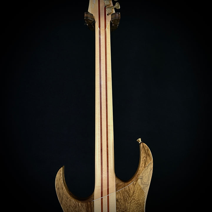 Ibanez IV2RG Visions