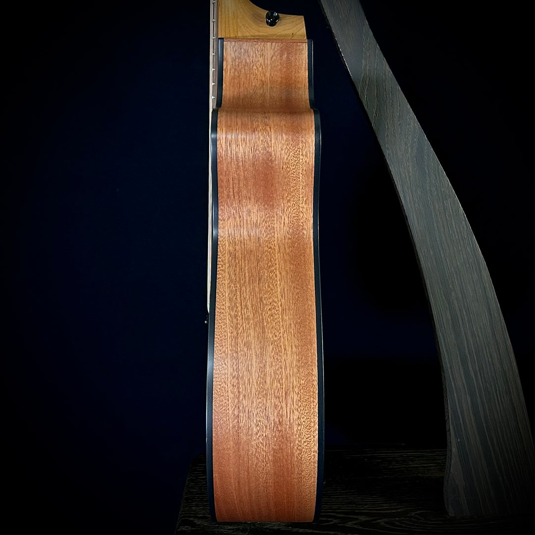Taylor 112CE - Sapele