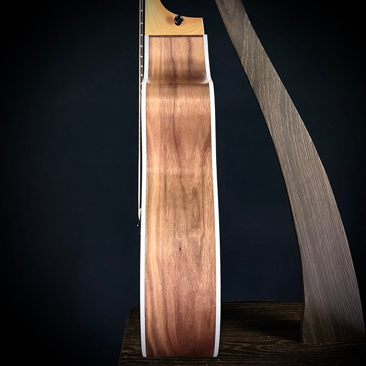 Taylor 214CE