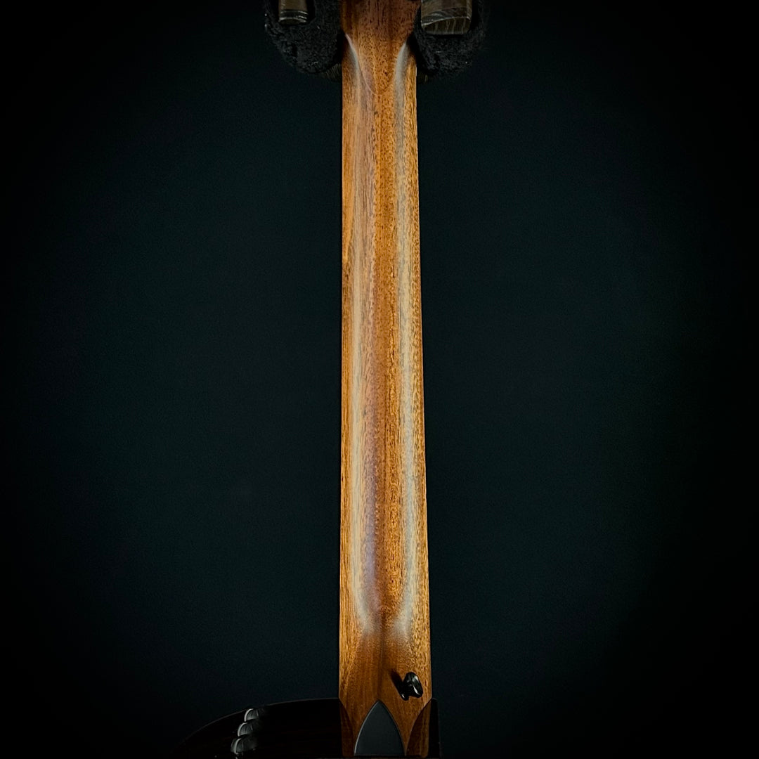 Taylor 414CE Studio - Special Edition LEFTY