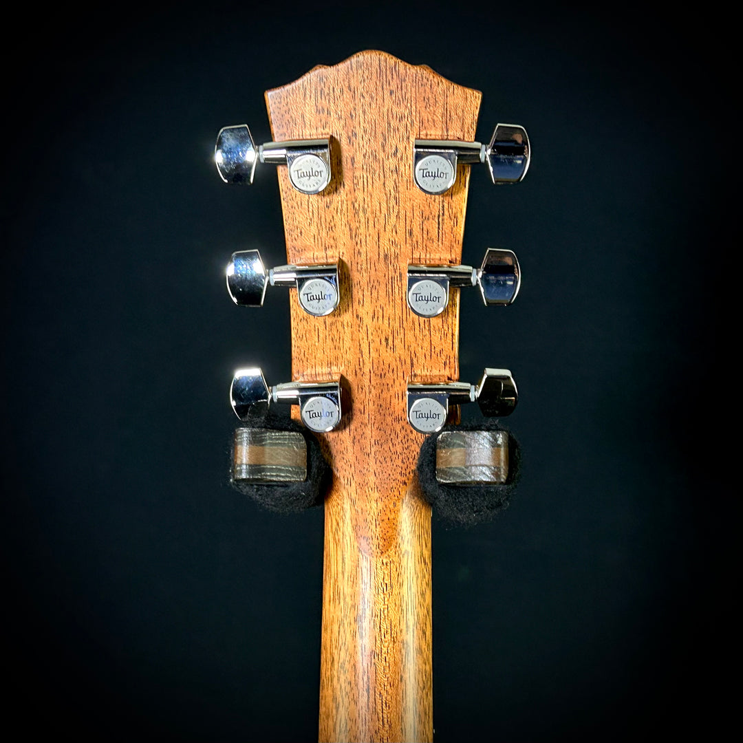 Taylor Gold Label 514E