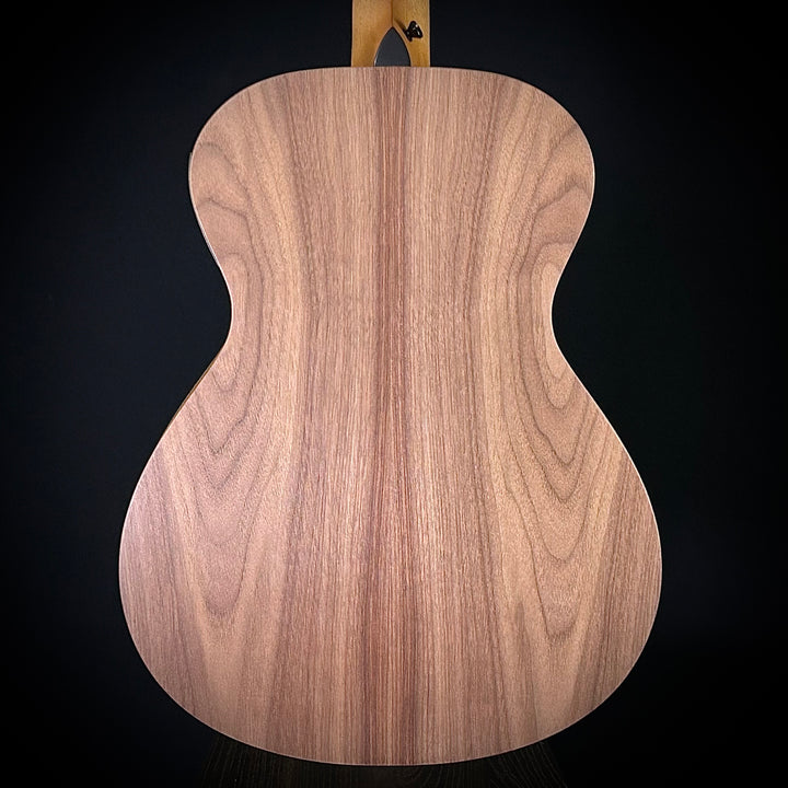 Taylor Academy 12E Nylon String -  LEFTY