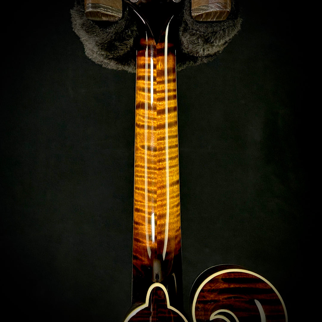 Northfield Instruments NFB-F5 Wide Nut Adirondack  - Sunburst