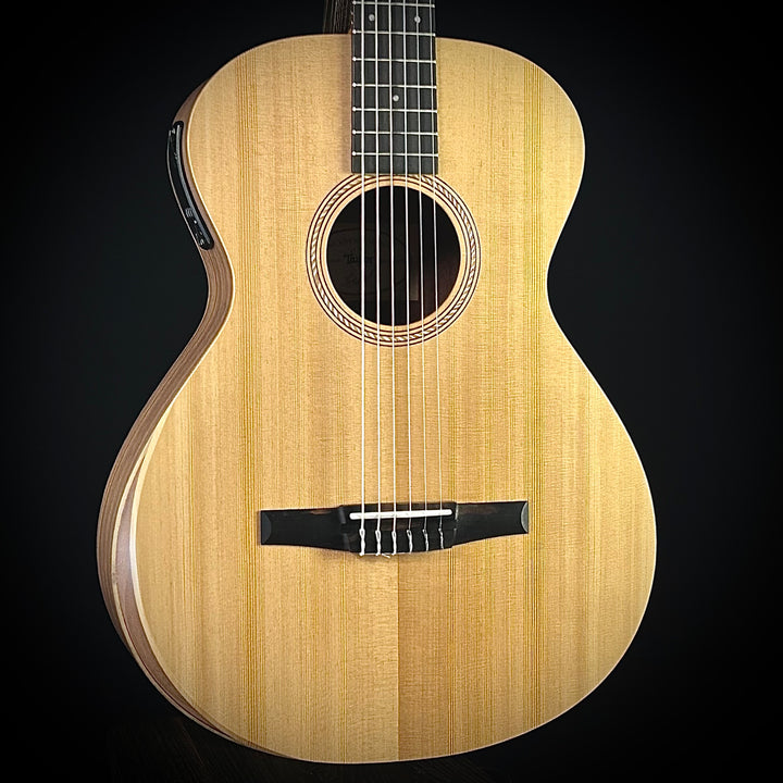 Taylor Academy 12E Nylon String