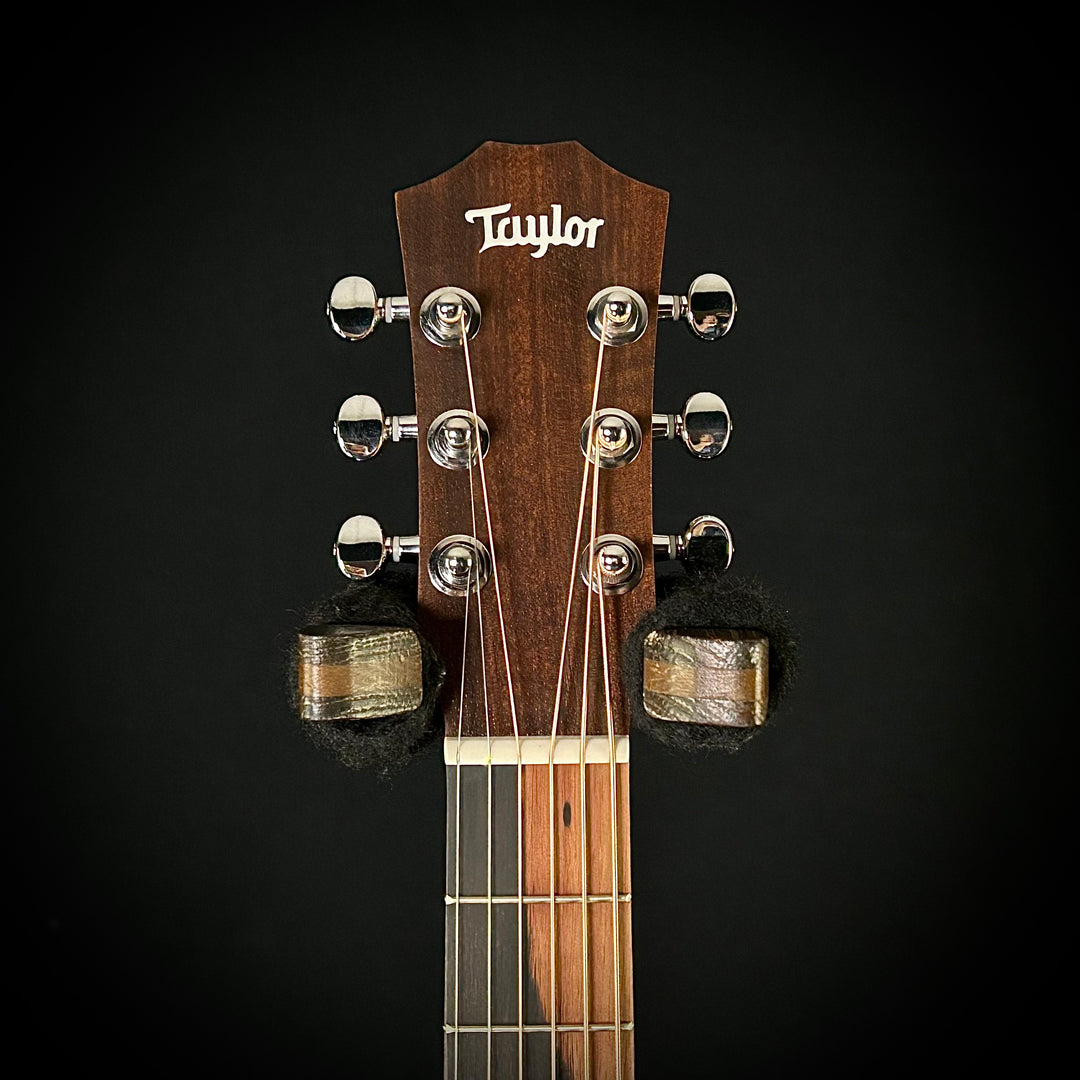 Taylor BT1 - Lefty