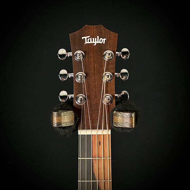 Taylor BT1 - Lefty