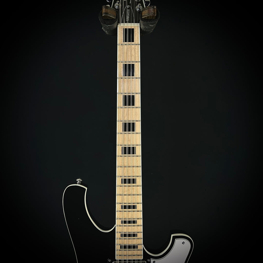 Schecter Stargazer 12