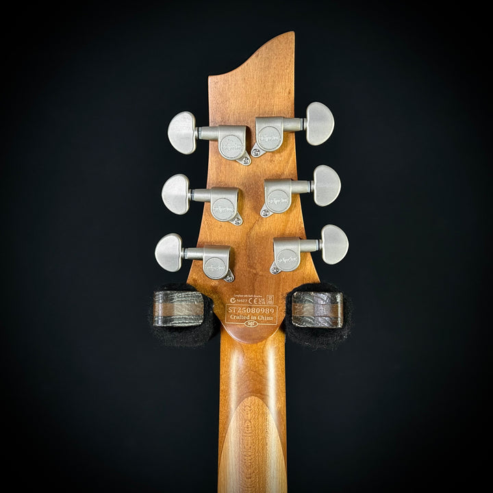 Schecter Lefty C-1 Standard Plus | Lefty