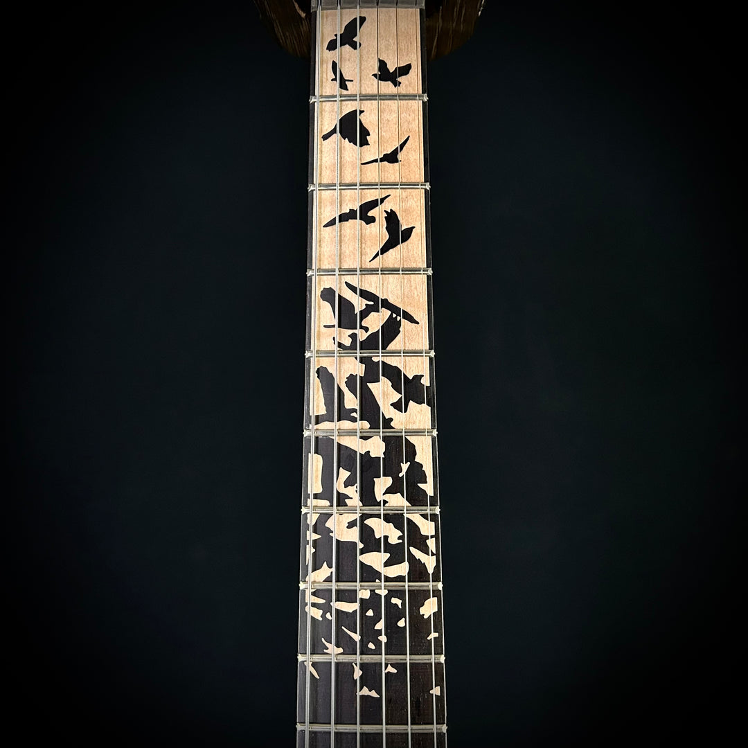 PRS Custom 24 Birds Of A Feather | Limited Edition