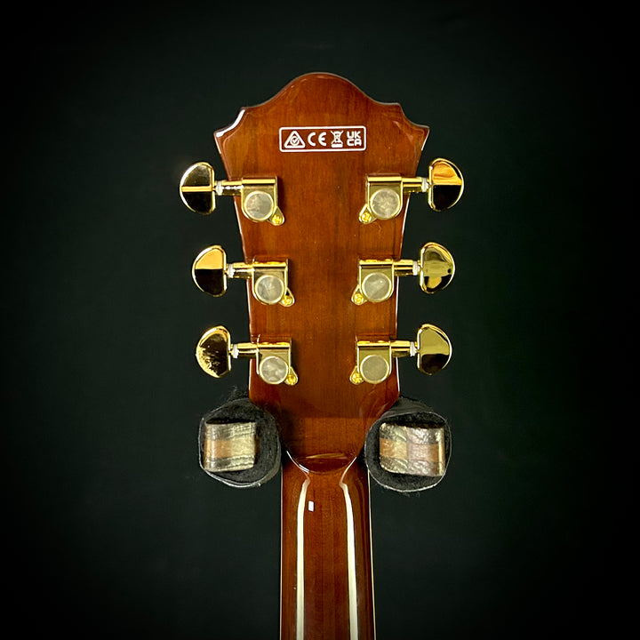 Ibanez AS93BC