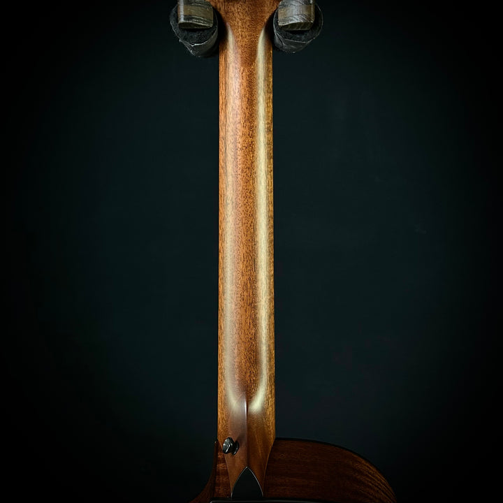 Taylor Next Generation 314ce