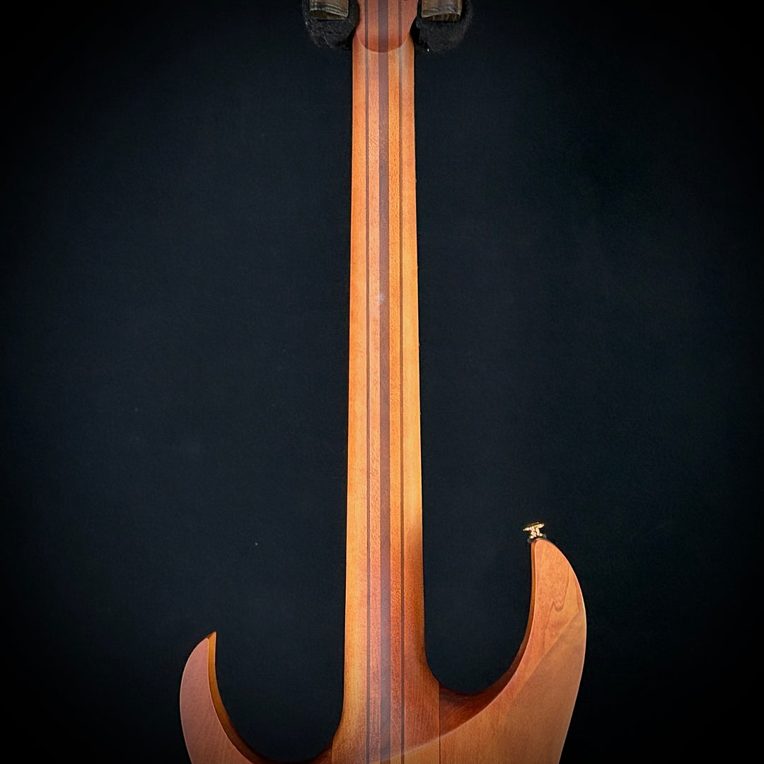 Ibanez RGT1220PB