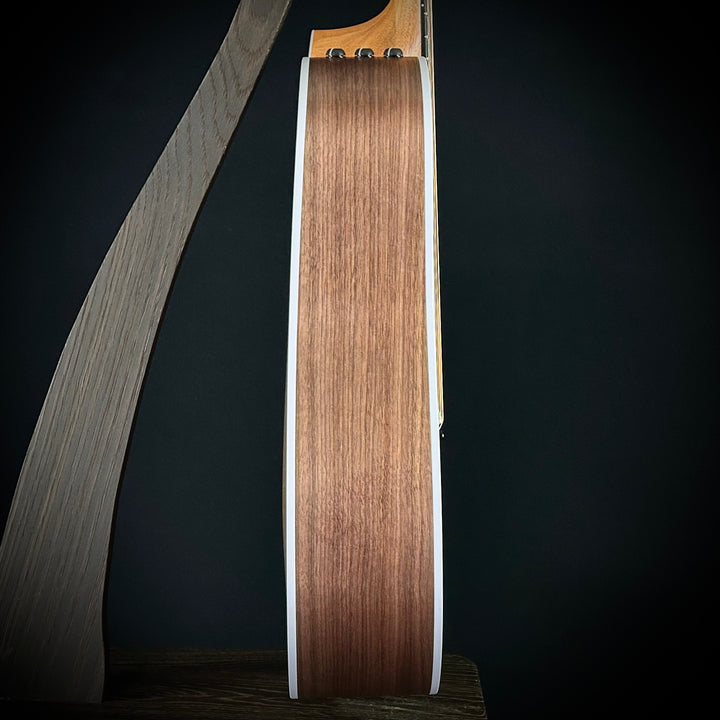 Taylor 210CE