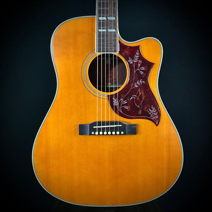 Epiphone Hummingbird Standard EC