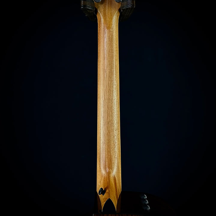 Taylor 210CE Plus