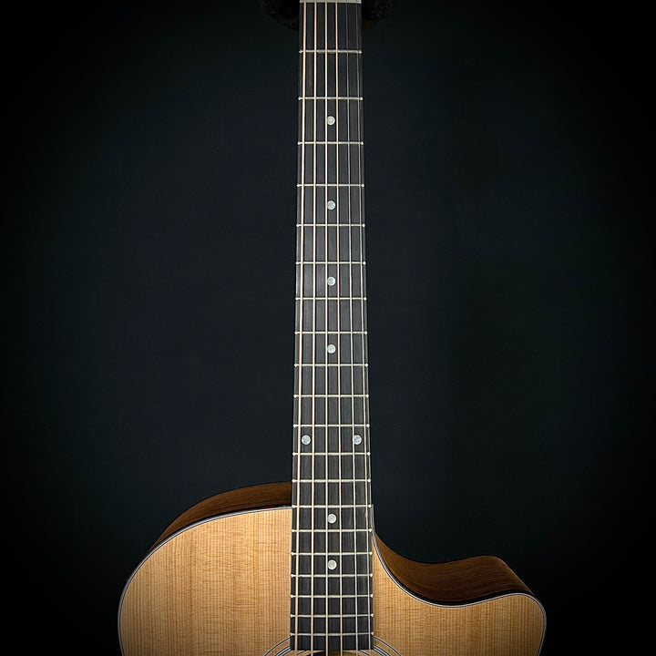 Eastman AC222CE