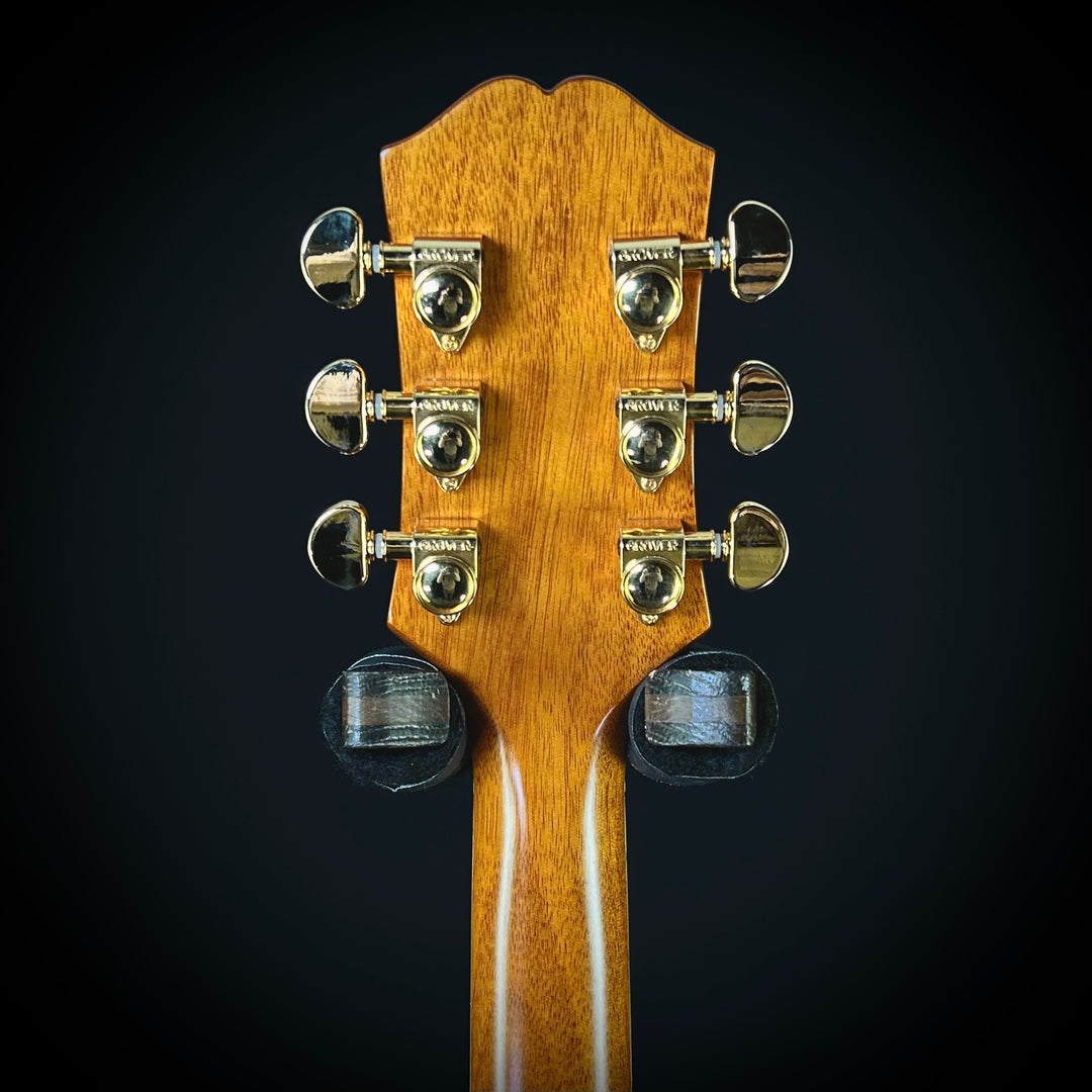 Epiphone Hummingbird Standard EC