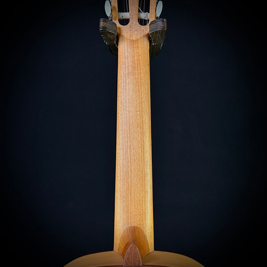 Alhambra 2F Flamenco Cedar Sycamore