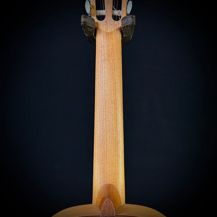Alhambra 2F Flamenco Cedar Sycamore