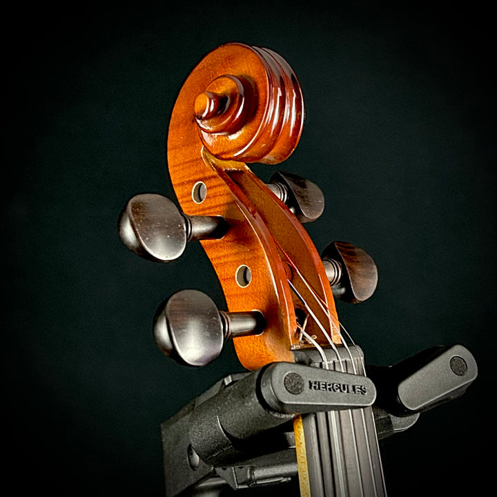 Albini Violin Package (Sizes 4/4, 3/4, 1/2, 1/4)