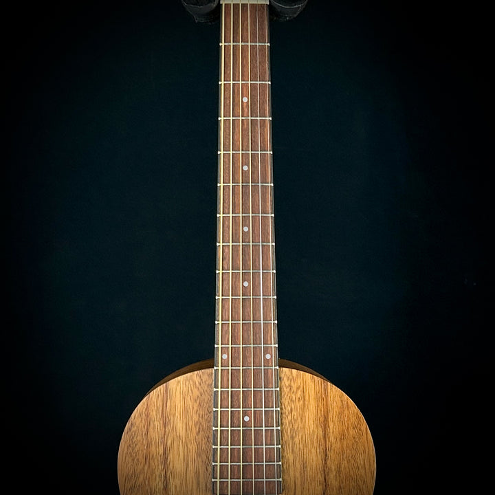 Ibanez PN2 Parlor