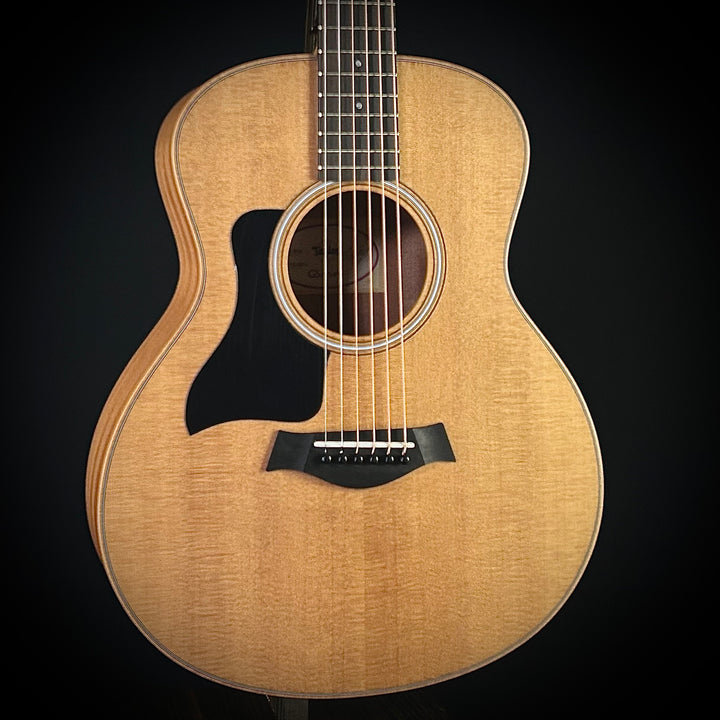 Taylor GS Mini - Lefty