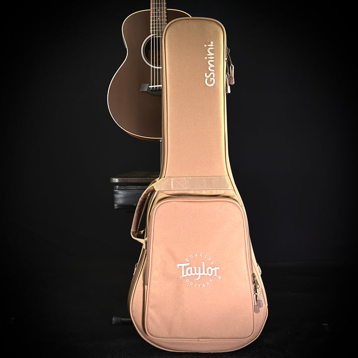 Taylor GS Mini-E Trans Black